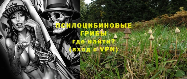 гашик Алексеевка