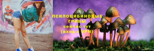 синтетический гашиш Алексин