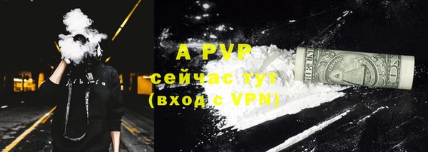 гашик Алексеевка
