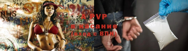 гашик Алексеевка