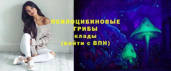 синтетический гашиш Алексин
