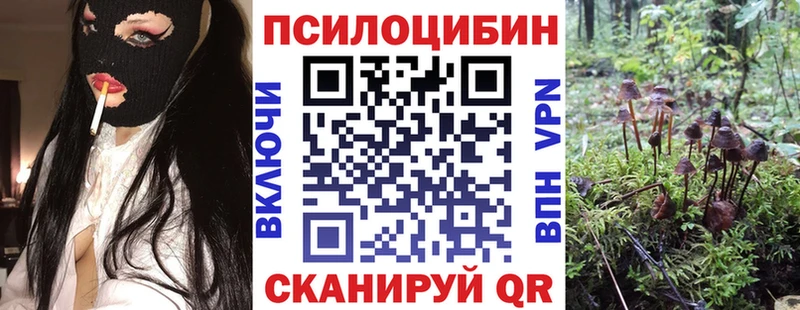 Галлюциногенные грибы мицелий mega зеркало Новоузенск